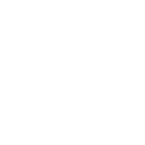 phonegap